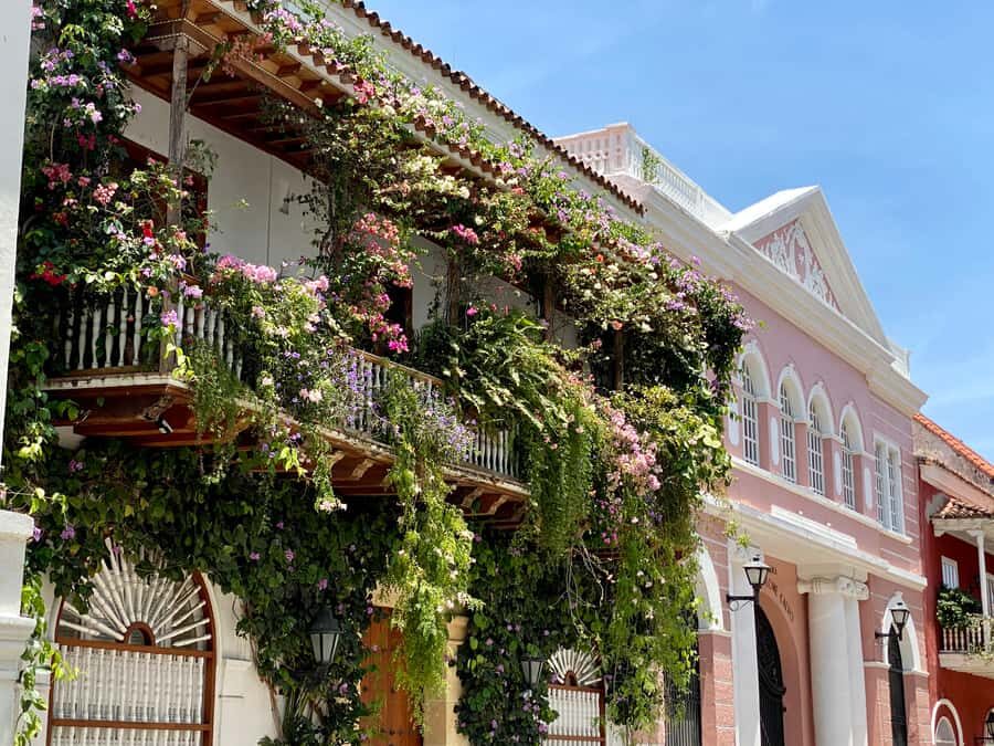 Cartagena: History, Culture & Coffee Experience - Centenario Park: a shaded break with sloths, monkeys, and iguanas