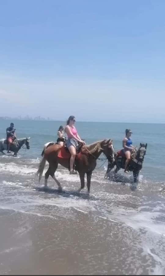 Cartagena: Horse Riding on the Beach with Photos and Lunch - Getting There: Where You Meet and How Pickup Works