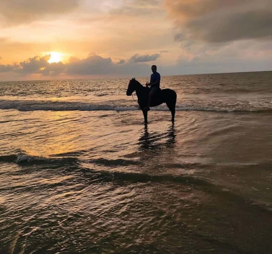 Cartagena: Horseback Ridding Excursion on the Beach - Key things that make this horseback ride work