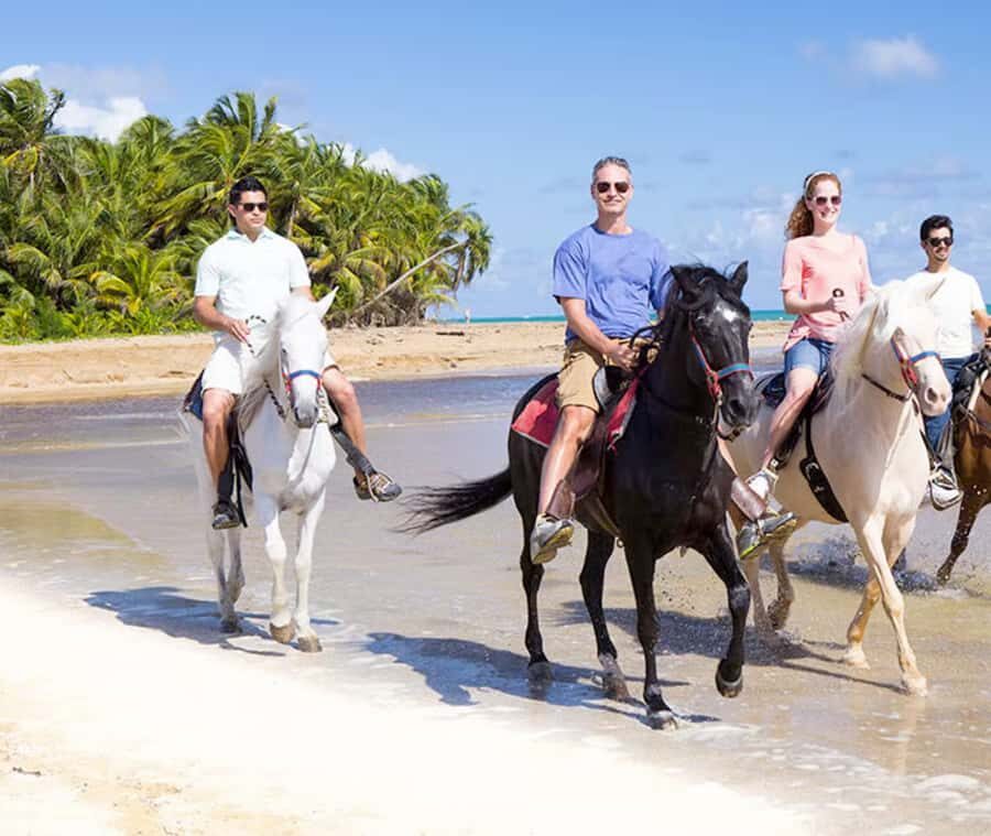 Cartagena: Horseback Riding on the Beach at Sunset - Cartagena Beach Horseback at Sunset: What It Feels Like in La Boquilla