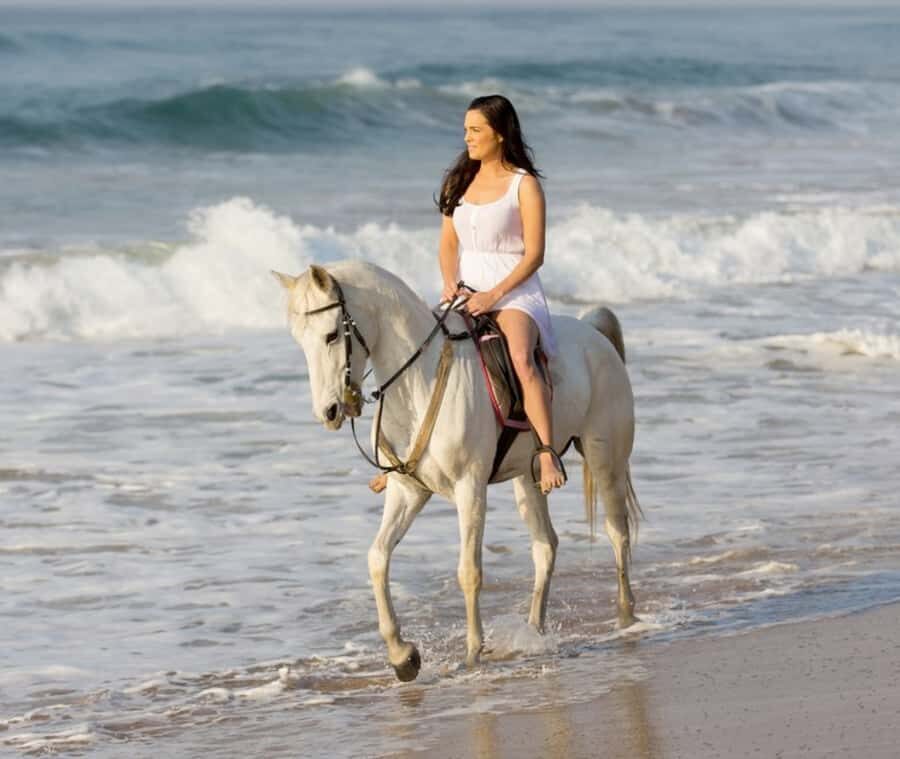 Cartagena: Horseback Riding on the Beach at Sunset - Riding the Calm Horses: Beginner-Friendly in Real Life