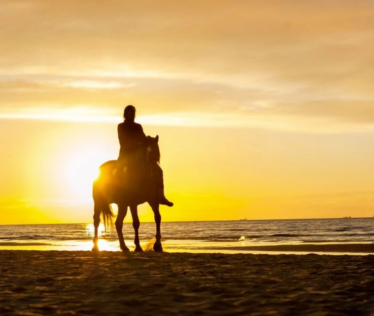 Cartagena: Horseback Riding on the Beach at Sunset - Mangroves, Local Culture, and Eco-Tourism Lessons That Don’t Feel Like Homework