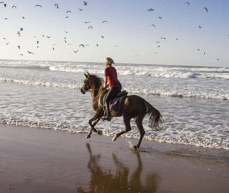 Cartagena: Horseback Riding on the Beach at Sunset - The Caribbean Lunch: Why It’s More Than a Bonus