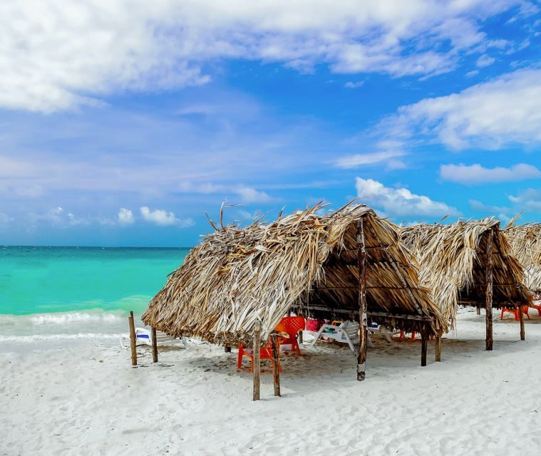 Cartagena: Horseback Riding on the Beach at Sunset - Price and Value: Is $50 Worth It?