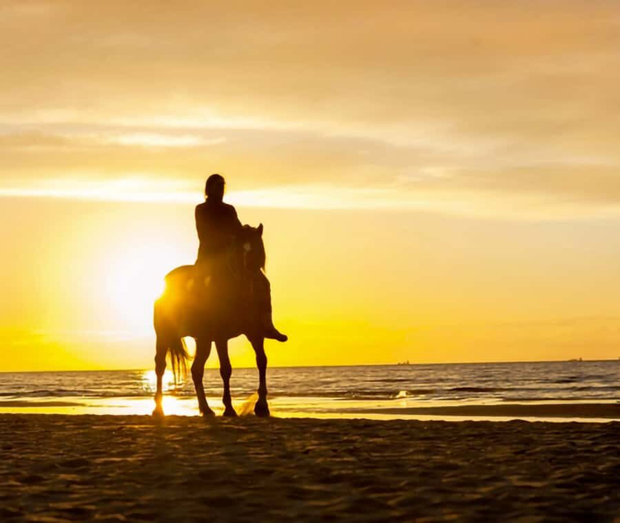 Cartagena: Horseback Riding on the Beach at Sunset - The 1.5-Hour Route: From María Palito to La Boquilla and Back
