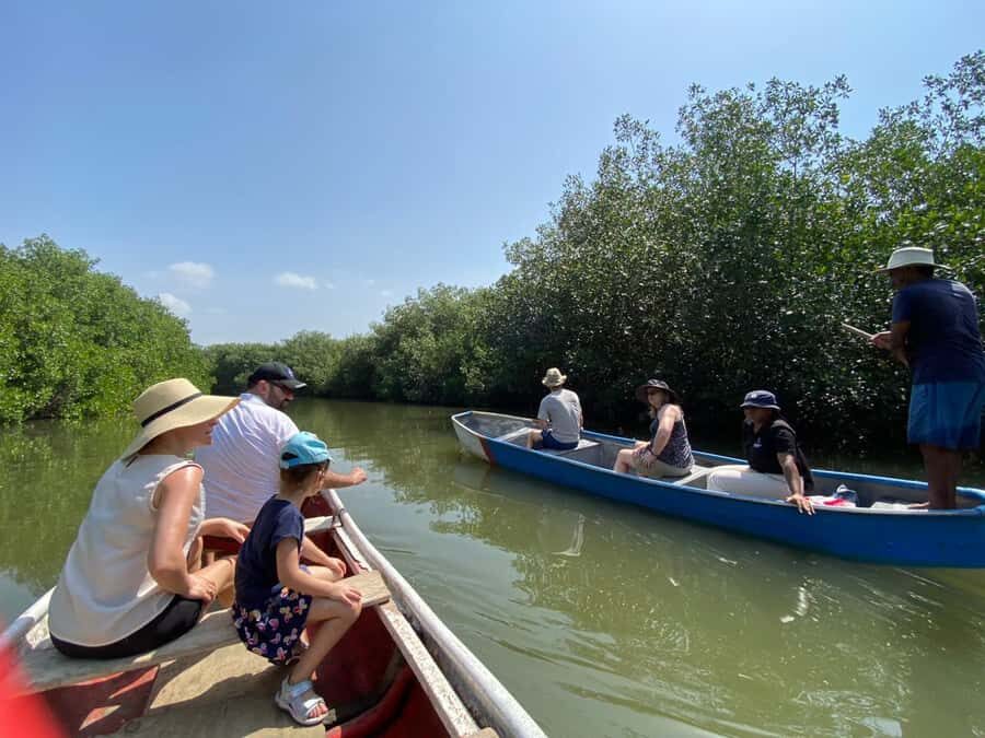 Cartagena: Mangrove Eco Tour & Fishing with Transportation - The 2-Hour Flow: La Boquilla to Fisherman Island