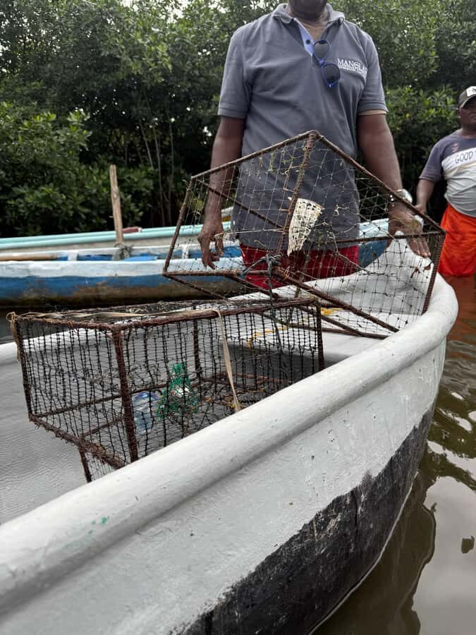 Cartagena: Mangrove Eco Tour & Fishing with Transportation - Culture on the Water: Drums, Dance, and Community Activities