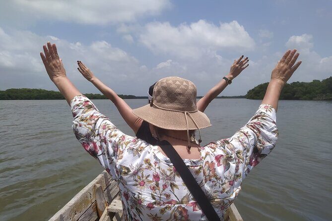 Cartagena Mangrove Private Tour - Key highlights to know before you go