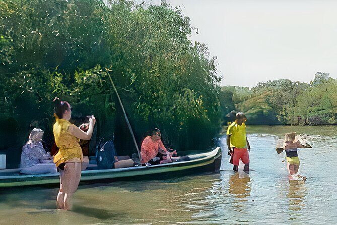 Cartagena Mangrove Private Tour - The open lagoon moment: shallow walking and wildlife spotting