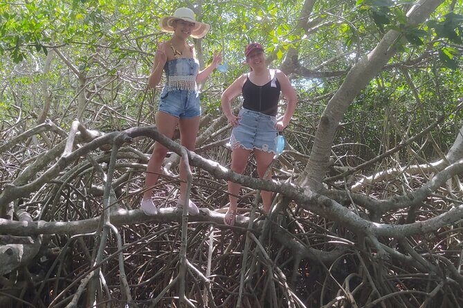 Cartagena Mangrove Private Tour - Lunch, beach time, and a visit to a small village