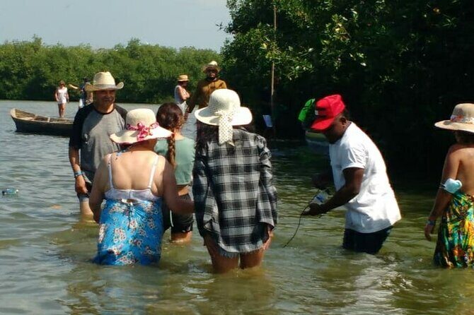 Cartagena Mangrove Private Tour - Who will love it (and who should think twice)
