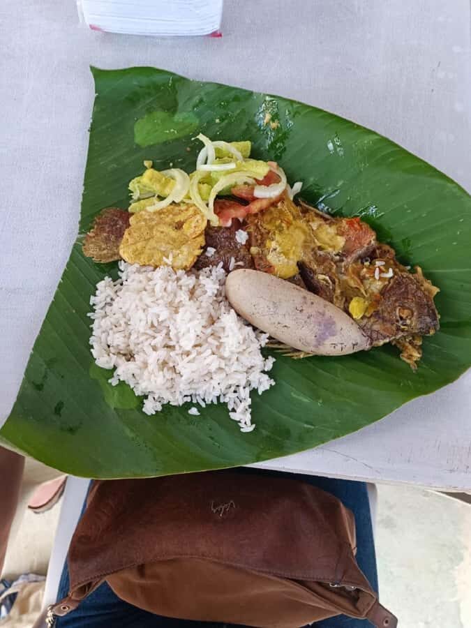 Cartagena: PALENQUE Tour AFRICAN TRADITIONS with Lunch - Pickup From Cartagena and the Transfer to Palenque