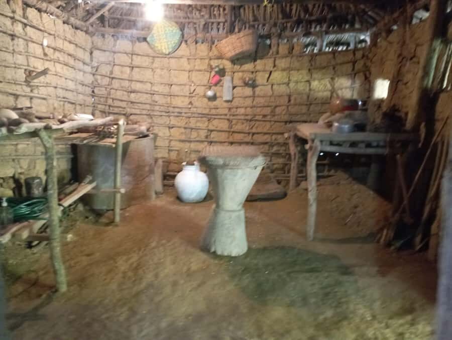 Cartagena: Palenque Tour and Road to Emancipation - Traditional medicine stop: learning the role of heritage healing