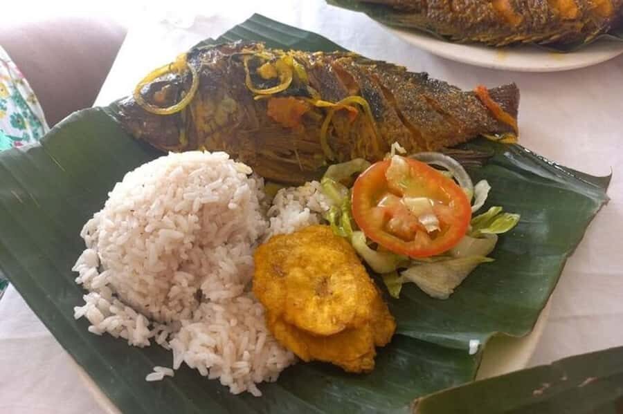 Cartagena: Palenque Tour and Road to Emancipation - The morning plan: pickup, drive, and how to survive a long day