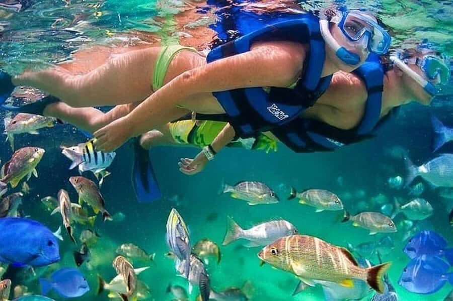 Cartagena: Raccoon Island Snorkel, Mangrove, Photos & Lunch - Pickup and Timing: The Morning Starts Early
