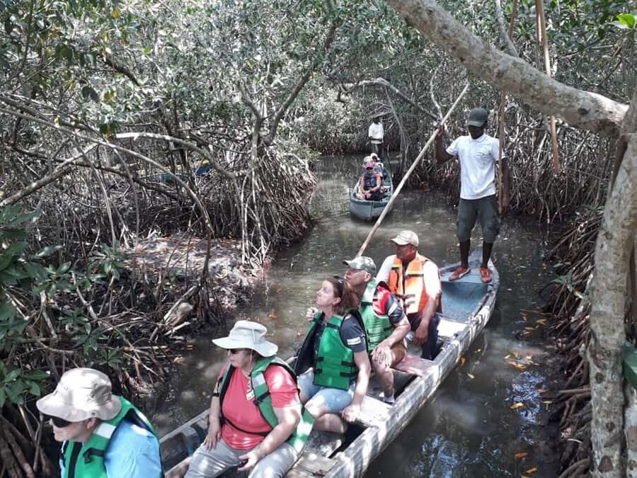 Cartagena: Sail in the mangroves of Cartagena - Cartagena Mangroves: Why La Boquilla Feels Special