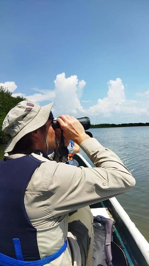 Cartagena: Sail in the mangroves of Cartagena - Price, Pickup Options, and Getting There Without Stress