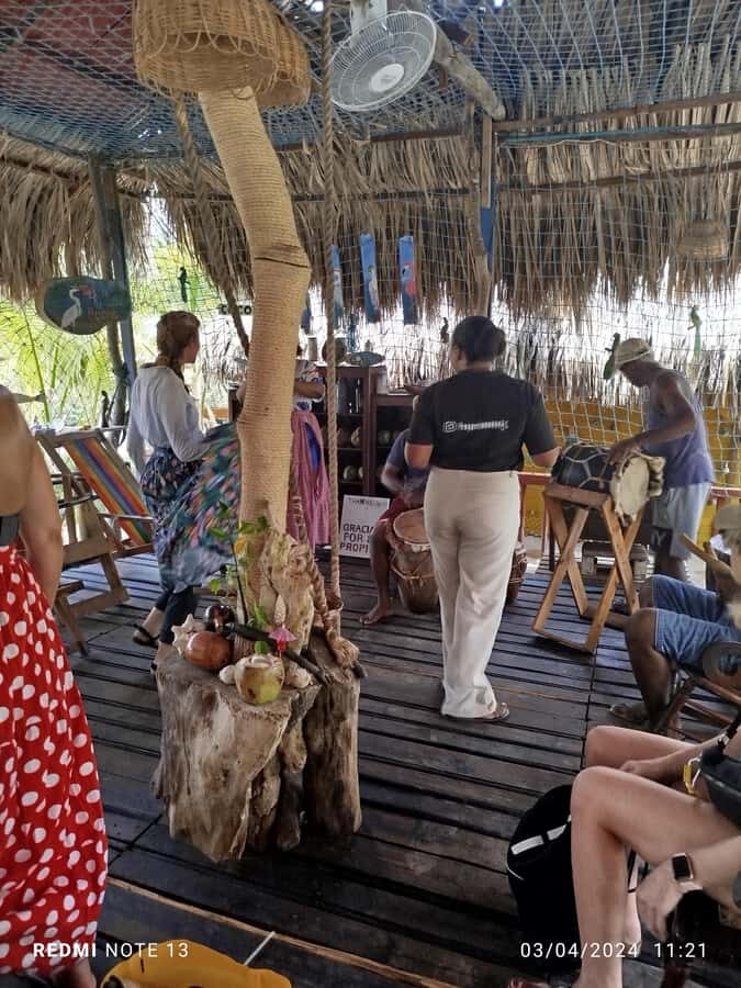 Cartagena: Sail in the mangroves of Cartagena - Should You Book Cartagena’s Mangrove Canoe Tour?