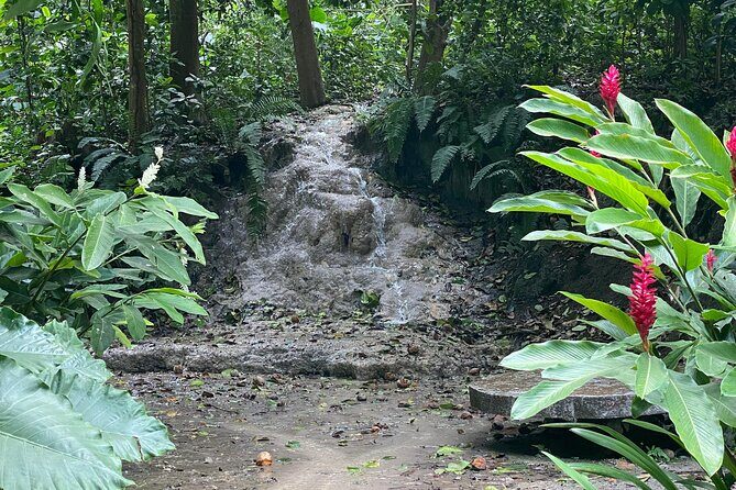Cartagena : Sighting of fauna and flora in the botanical garden. - Key highlights