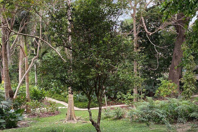 Cartagena : Sighting of fauna and flora in the botanical garden. - Botanical Garden Walking Trails: birds, trees, and Cartagena biodiversity