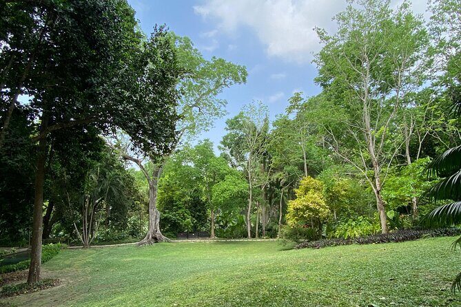Cartagena : Sighting of fauna and flora in the botanical garden. - Service and pacing: what Kevin-style guidance feels like