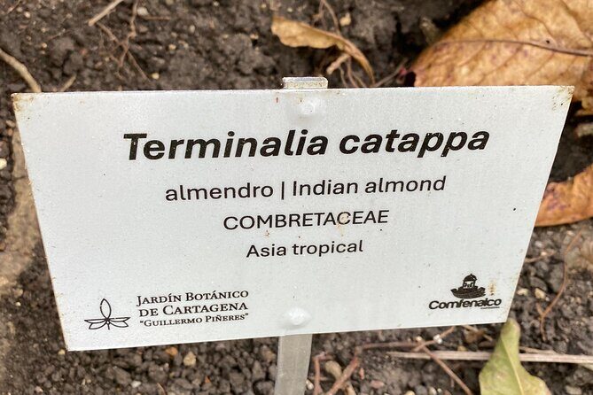 Cartagena : Sighting of fauna and flora in the botanical garden. - What you get for $76.78: real value math for a half-day