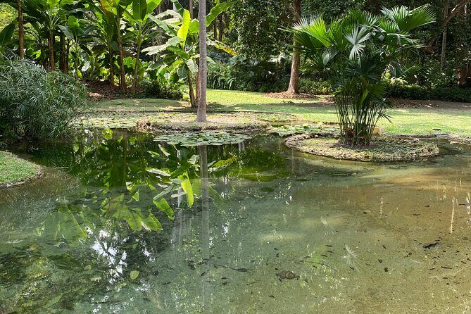 Cartagena : Sighting of fauna and flora in the botanical garden. - Should you book this Cartagena nature-and-lake tour?