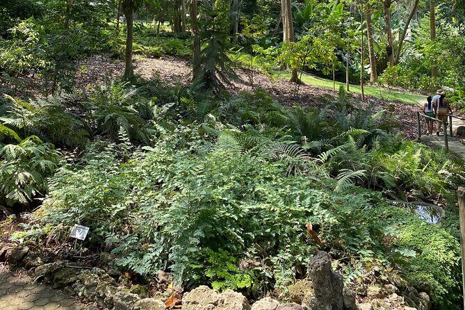 Cartagena : Sighting of fauna and flora in the botanical garden. - FAQ