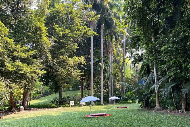 Cartagena : Sighting of fauna and flora in the botanical garden. - The five-minute walk to the lake oasis: rowboat, cafeteria lunch, pool