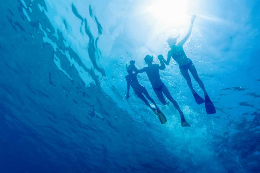 Cartagena: Snorkel, Mangroves and Playa Blanca Tour - Key highlights that make this tour worth your morning