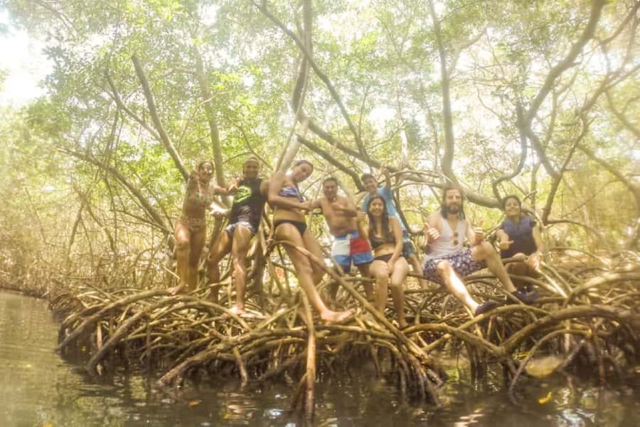 Cartagena: Snorkel, Mangroves and Playa Blanca Tour - Quick tips to get more out of your day