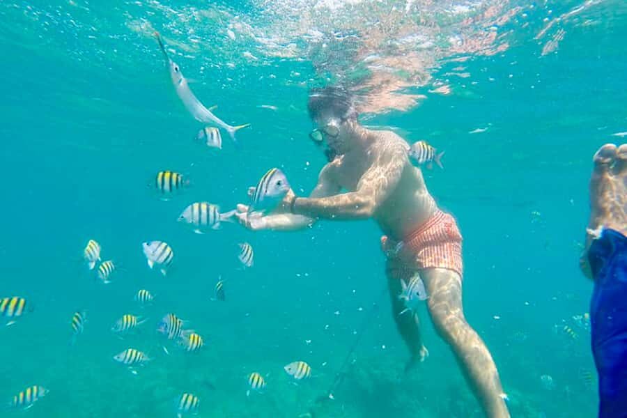 Cartagena: Snorkel, Mangroves and Playa Blanca Tour - Playa Blanca at lunch time: food, shade, and that white-sand reset
