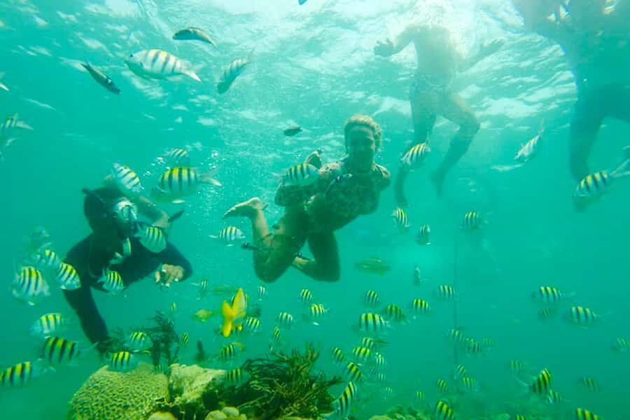 Cartagena: Snorkel, Mangroves and Playa Blanca Tour - Who should book this tour (and who should think twice)