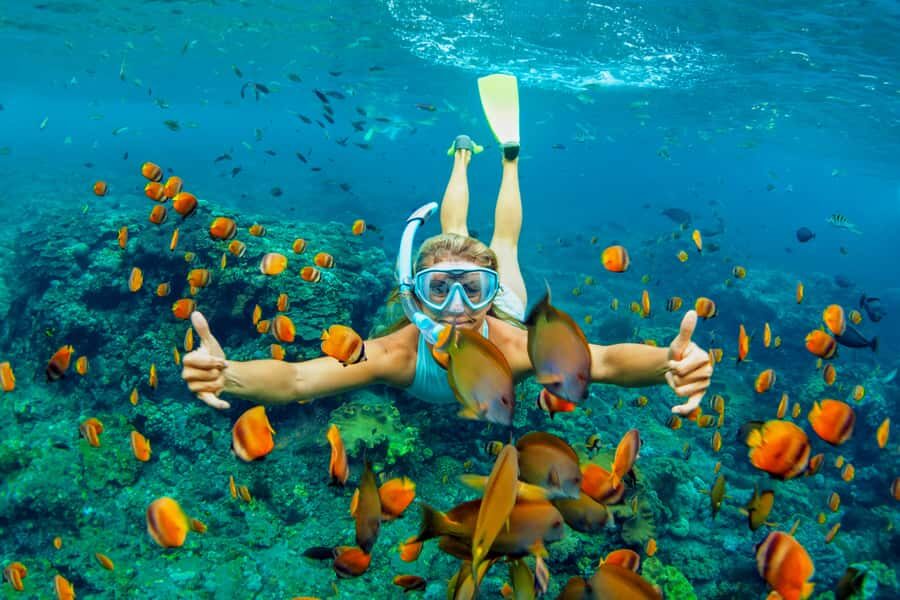 Cartagena: Snorkel, Mangroves and Playa Blanca Tour - Snorkeling at Baru: what you’ll see (and what can disappoint)