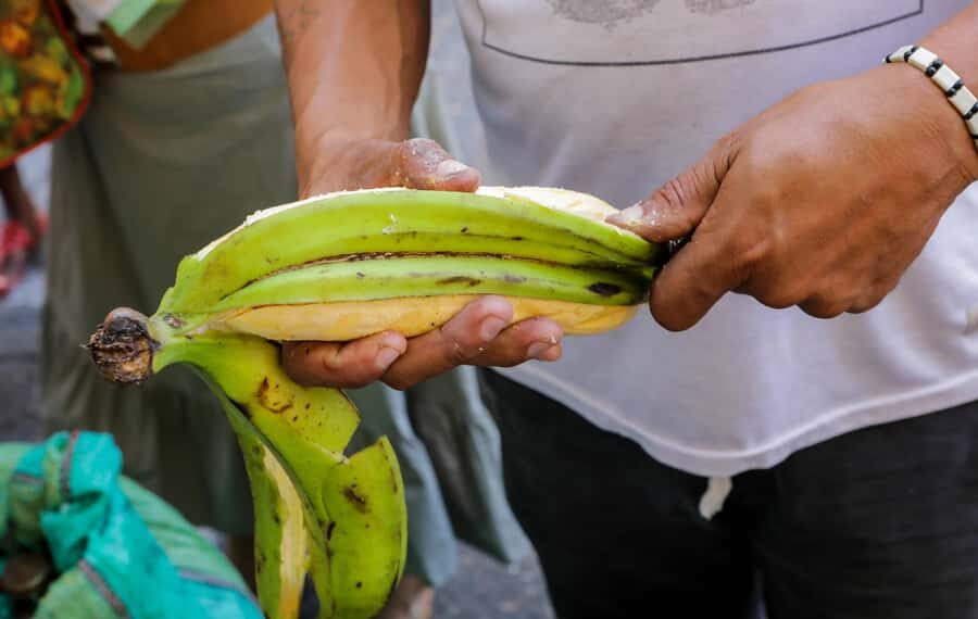 Cartagena: Street Food Walking Tour - Logistics that matter: group size, solo plans, and walking comfort