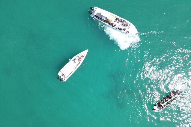 Cartagena VIP Boat Tour: Rosario Islands & Snorkel - From Centenario Park to Open Water: The Morning Flow