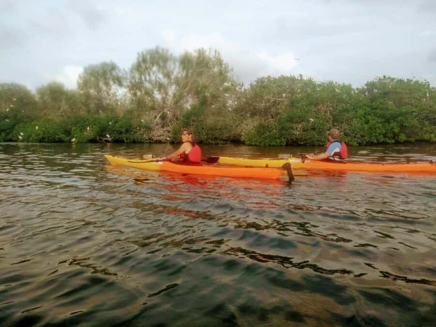 Cartagena: Walled City Kayak Tour - Bird’s Island and the Mangrove Birdlife Moment