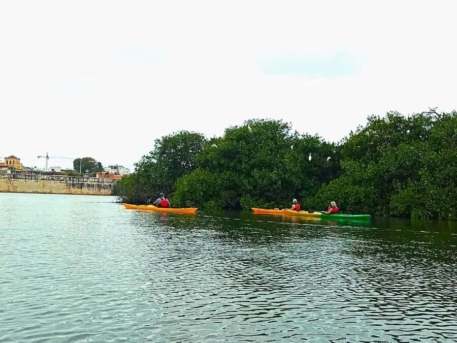 Cartagena: Walled City Kayak Tour - What You Get for the Price: Is $73 Worth It?