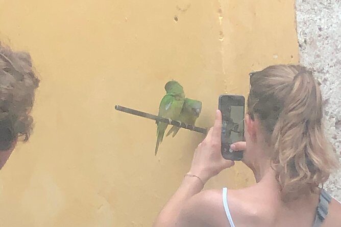 Cartagena Welcome Tour with Airport Transfer - Street art, food, and party energy: the side of Cartagena you’ll want next