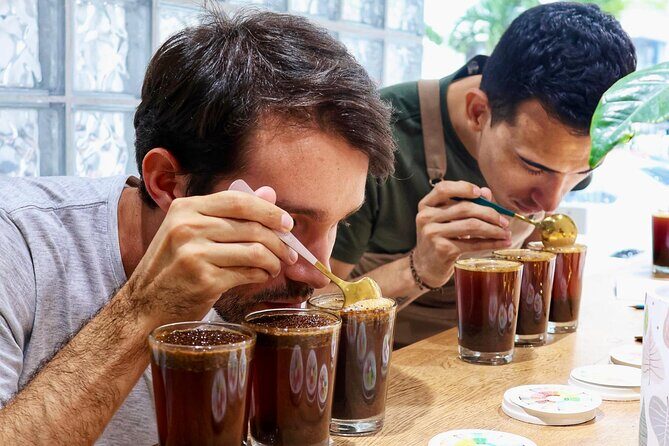Coffee beyond the drink: master's degree in Colombian coffee - Quick highlights you’ll actually care about