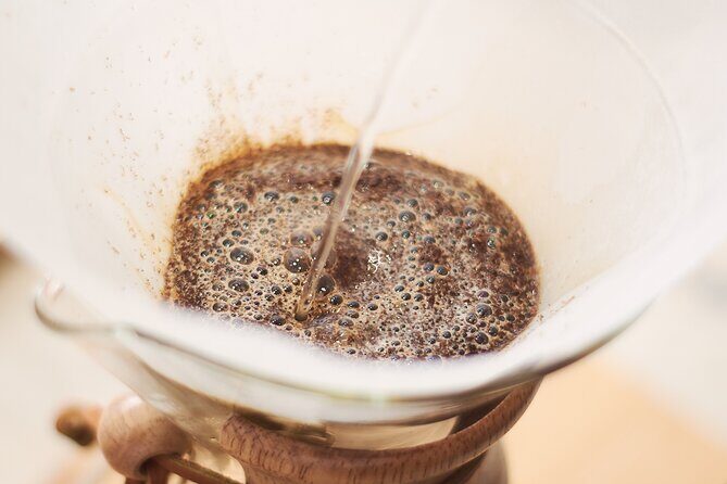 Colombian Coffee Sensory Immersion: From the Seed to the Cup. - Small Group Comfort in a Purpose-Built Setting