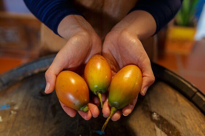 Colombian Fruits and Paila Ice Cream Tasting - If You’re Gluten Free or Dairy Free: You’re Covered