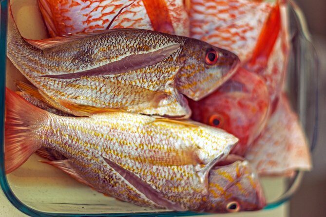 Cook Like a Local – A Traditional Caribbean Cooking Class - Should you book Cook Like a Local – A Traditional Caribbean Cooking Class?