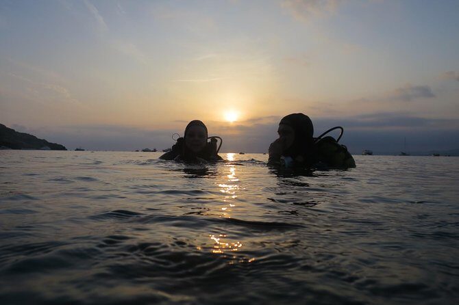 Diving baptism in the Marine Reserve of Cabo Tiñoso - Key highlights you should care about
