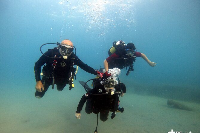 Diving baptism in the Marine Reserve of Cabo Tiñoso - Who this scuba baptism is best for (and who should skip it)