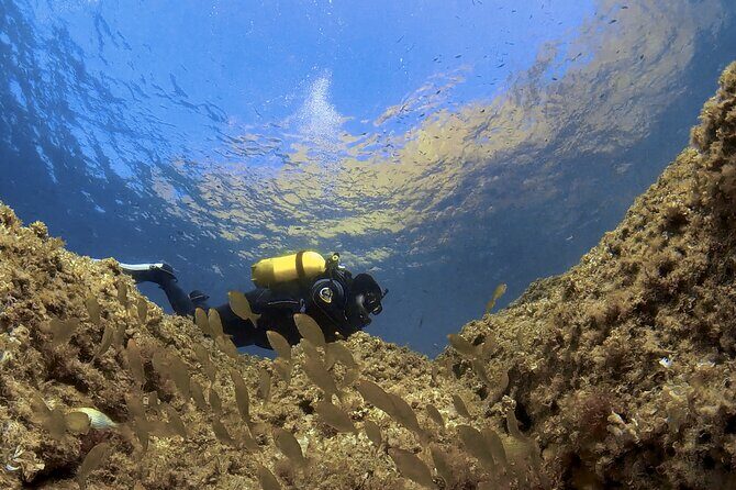 Diving baptism in the Marine Reserve of Cabo Tiñoso - The coaching phase: learning to breathe underwater without panicking