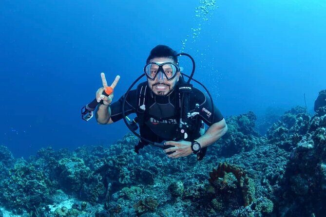 Diving Experience in Cartagena with all Incluided - Key things I’d focus on before you go