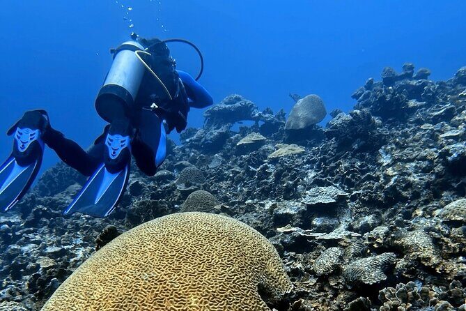Diving Experience in Cartagena with all Incluided - On-board comfort: snacks, coffee, and what’s included