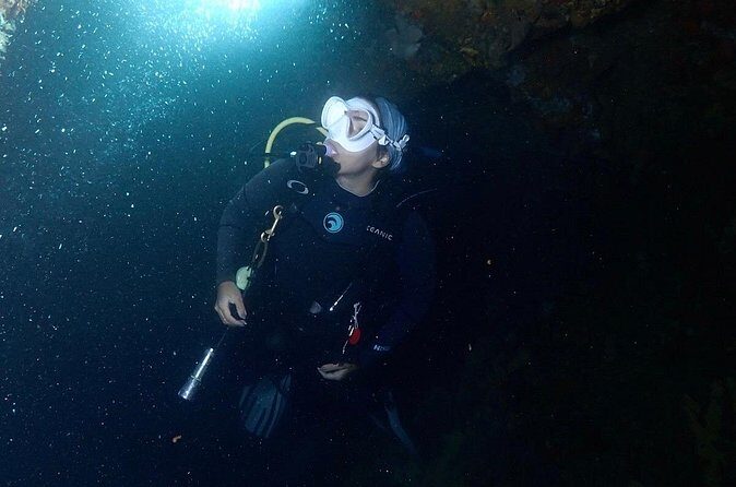 Diving Experience in Cartagena with all Incluided - Price and value: does $280 make sense for an 8-hour package?