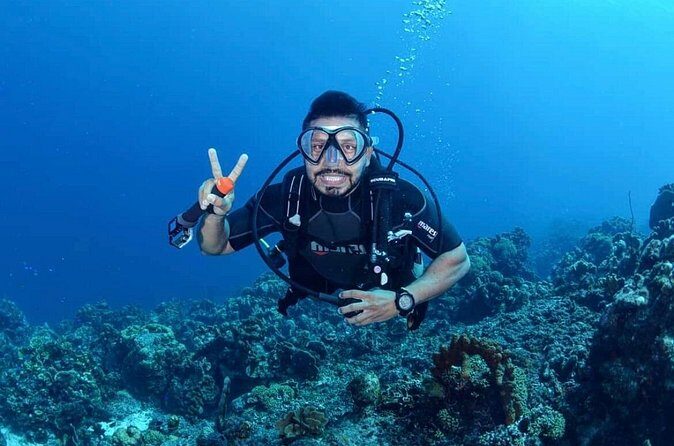 Diving Experience in Cartagena with all Incluided - Who should book this Cartagena SCUBA day (and who should pause)